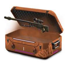 M3ta x Rega 11 Awp