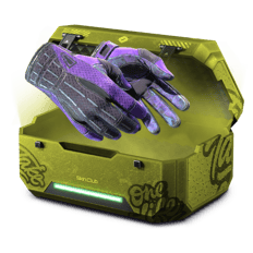 GLOVE Case