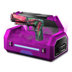 BS-P1NK-FRM-1111