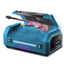 %5 covert