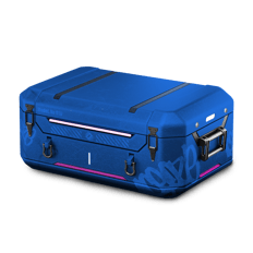 DickStacy Case
