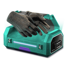 55% Win Gloves