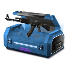 peace best 2v2 case
