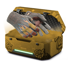 2% NEW GLOVES