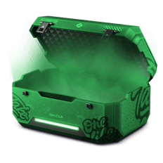 20% CASE