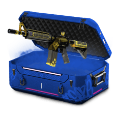 10%M4A4