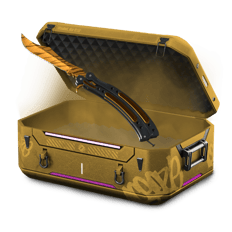 Big Cat Case