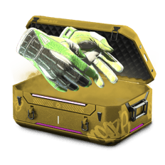 26% BEST GLOVE CASE