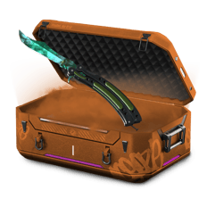 Hisa Case