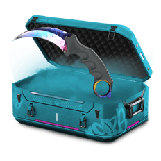 85% profit karambit