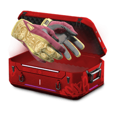 ⭐ Gloves Hunter