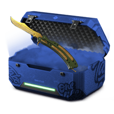 AI Case