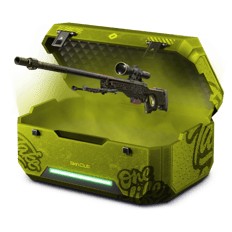 333 case