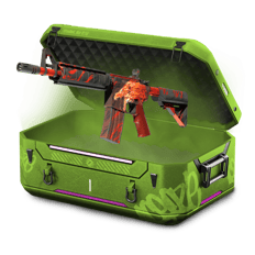 case