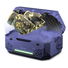 1% Gloves (Battles)