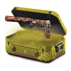 Knife Cases