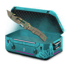 Budget Farm Knife Case