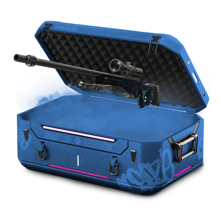 level 110 case