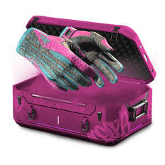 .1% VICE GLOVES