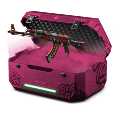 Anime Case