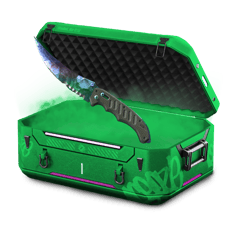 Kn1fe case