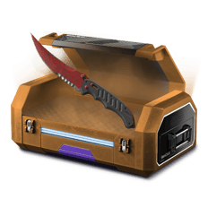Level 60 Case