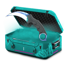 1% Shiny Knife