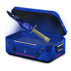 Number 1 profit case OPEN