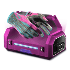 15%Case