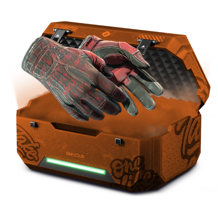 Cheap recoil case