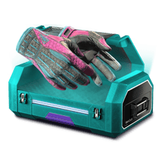 25% Gloves Battle