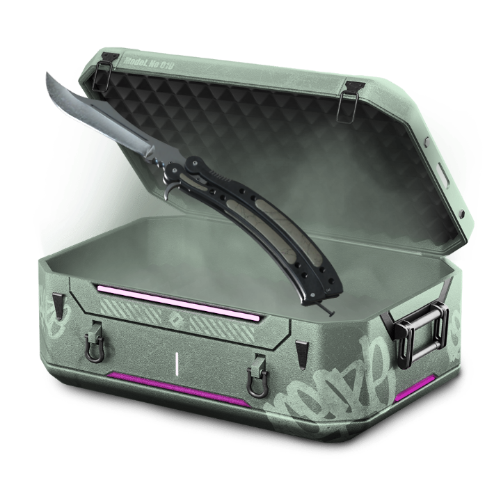 Vanilla Case