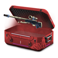 Crazy AWP case