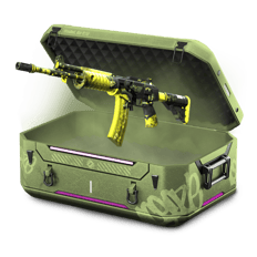Cache Collection