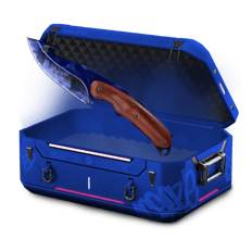 % 45/55 BEST KNIFE case