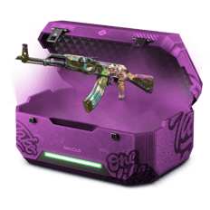 cheap battle case