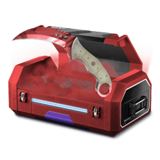 5% PURE SKILL CASE