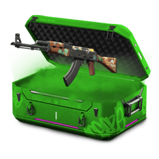 The Baggage Collection
