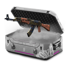 0.2AKCase