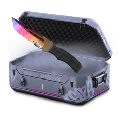 Fantastic case