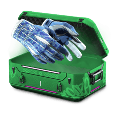 100% glove case low risk!