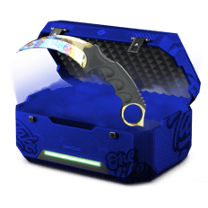Case Hardened Battle