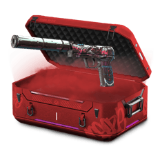 5% Pistol