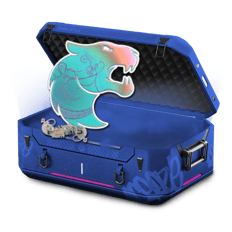 Holo Sticker