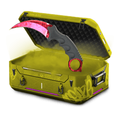 🔥BestCase Ever🔥