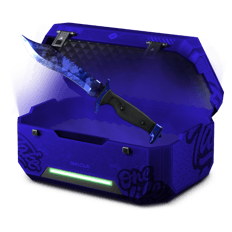 Blue Farm Case 81%