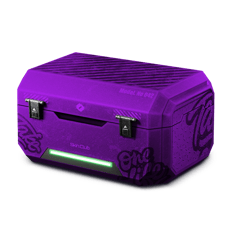 80% Profit Violet