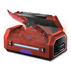 daily case 2