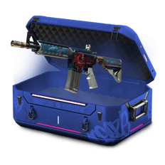 "Case Battle" Case 2