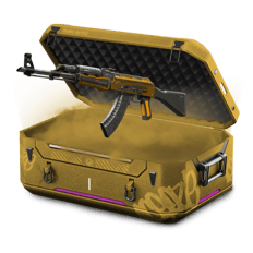 Fuel Injector Case